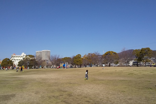 末広中央公園　広場